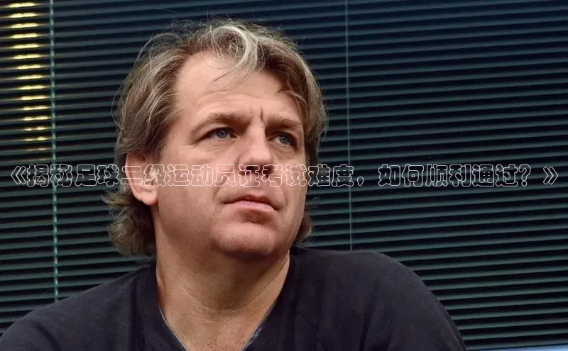 熊猫体育官方网站皮阿诺《揭秘足球二级运动员证考试难度，如何顺利通过？》