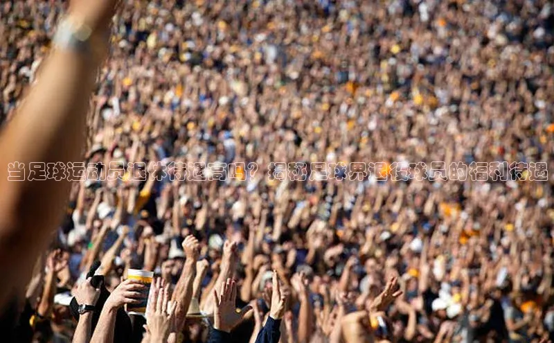 熊猫体育在线直播免费百度技术学院当足球运动员退休待遇高吗？揭秘足球界退役球员的福利待遇