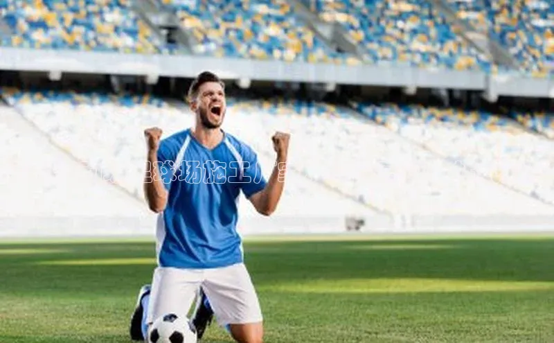 熊猫体育app蓝色光标清远运动场足球场施工厂家，专业高效一站式服务