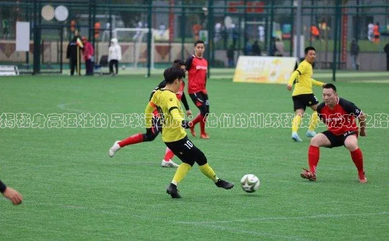 熊猫体育在线直播app百度 H5揭秘身高强壮的足球运动员：他们的训练秘技和成功之路