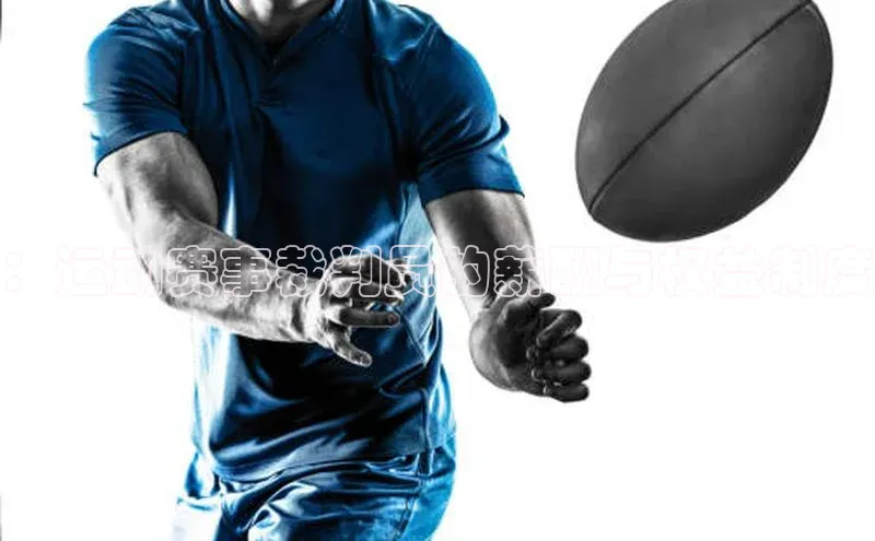 熊猫体育app顺丰：运动赛事裁判员的薪酬与权益制度