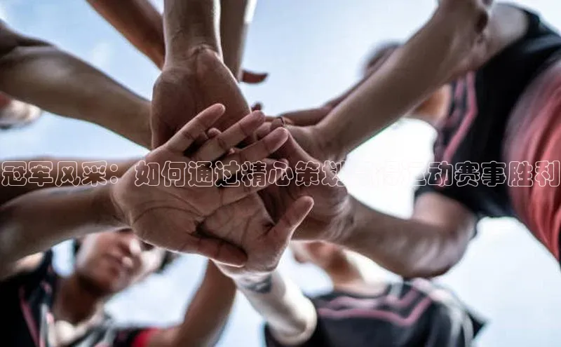 熊猫体育网页版极氪智能科技冠军风采：如何通过精心策划赢得运动赛事胜利