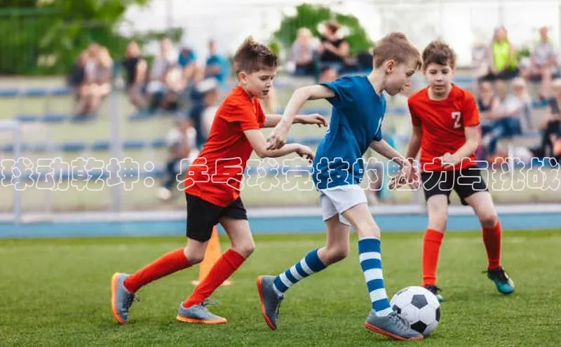 球动乾坤：乒乓球竞技的魅力与挑战