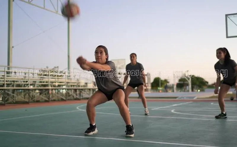 砀山县运动会赛事回顾与展望：2023年度竞赛项目分析与规划