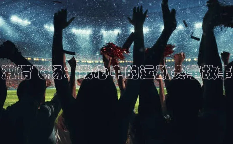 激情飞扬：我心中的运动赛事故事