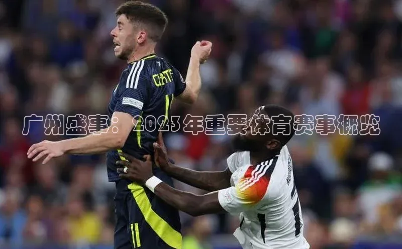 广州盛事：2023年重要体育赛事概览