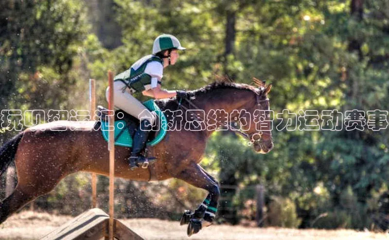 玩呗智运汇：创新思维的智力运动赛事