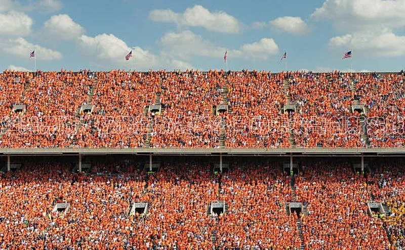 超越界限：极限运动赛事公司的未来与创新实践