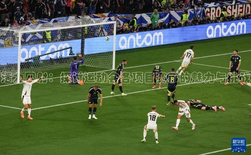 活力四射：探讨运动会各项目赛事的魅力与挑战