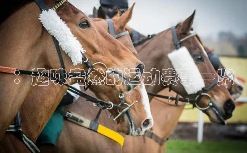 ：趣味盎然的运动赛事一览