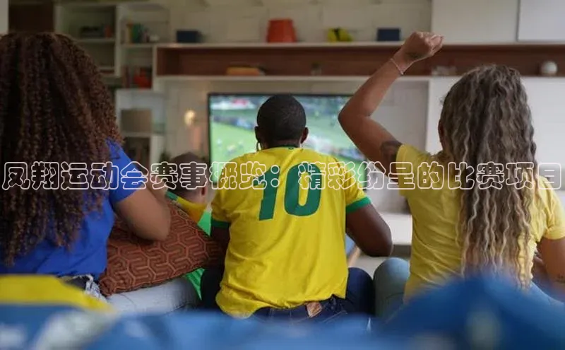 凤翔运动会赛事概览：精彩纷呈的比赛项目