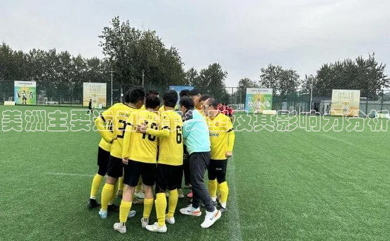 美洲主要运动赛事类型及其影响力分析