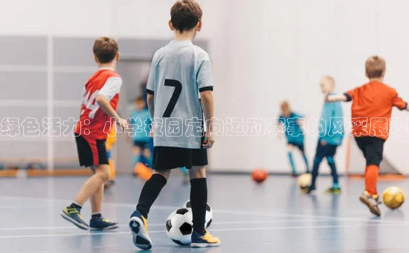 熊猫体育直播免费观看