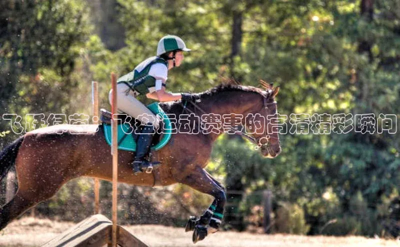 熊猫体育app下载